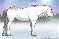 Horse Color:Liver Red Dun Sabino Rabicano