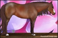 Horse Color:Chocolate Bay 