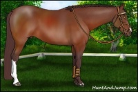 Horse Color:Chocolate Brown 