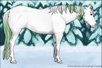 Horse Color:Watercolor White Spotted Black