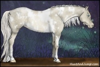 Horse Color:White Spotted Chocolate Palomino Pearl 