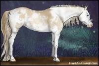 Horse Color:White Spotted Liver Chestnut Pearl Splash 