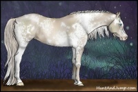 Horse Color:White Spotted Chocolate Palomino Pearl 