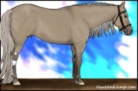 Horse Color:Silver Grullo
