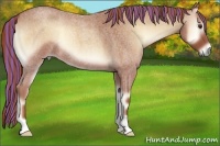 Horse Color:Painted Red Onyx Roan