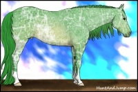 Horse Color:Watercolor Brown Ice Roan 