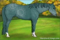 Horse Color:Watercolor Black 