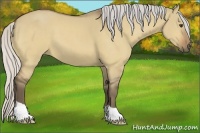 Horse Color:Silver Buckskin Dun 