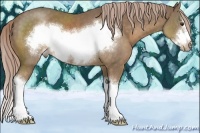 Horse Color:Chocolate Palomino Sabino Splash Frame 