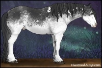 Horse Color:White Spotted Black