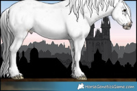 Horse Color:Black Sabino Frame