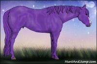 Horse Color:Watercolor Black 