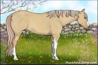 Horse Color:Palomino Dun 