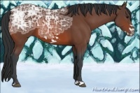 Horse Color:Bay Ice Frame 