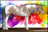 Horse Color:Classic Champagne Tobiano 