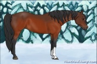 Horse Color:Brown 