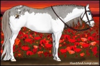 Horse Color:Smoky Grullo Sabino Splash Appaloosa 
