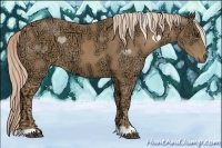 Horse Color:Palomino Ice 