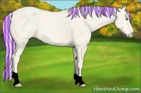 Horse Color:Painted Cremello Ice Roan