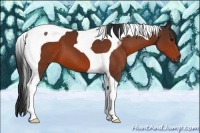 Horse Color:Bay Tobiano