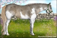 Horse Color:Liver Chestnut Ice Splash 