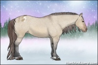Horse Color:Bay Roan Dun Varnish 