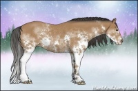 Horse Color:Bay Sabino Splash Rabicano