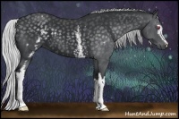 Horse Color:White Spotted Silver Black Chinchilla 