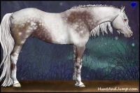 Horse Color:White Spotted Chocolate Silver Black Chinchilla Sabino 