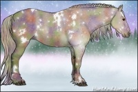 Horse Color:Nacre White Spotted Silver Grullo Rabicano