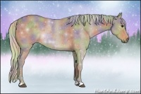 Horse Color:Nacre Silver Smoky Grullo