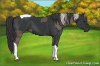 Horse Color:Silver Black  and Black Tobiano 