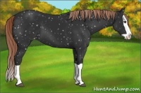 Horse Color:Liver Chestnut Splash Snowflake Varnish 