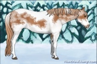 Horse Color:White Spotted Chestnut Tobiano Frame 