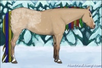 Horse Color:Painted Buckskin Ice Dun Sabino Rabicano