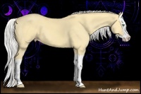 Horse Color:Silver Amber Cream Champagne Dun Splash 