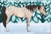 Horse Color:Sable Champagne Ice Roan 