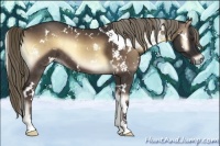 Horse Color:White Spotted Liver Red Onyx 