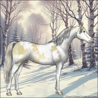 Horse Color:White Spotted Liver Red Dun Mushroom Splash 