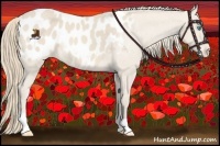 Horse Color:Perlino Appaloosa 