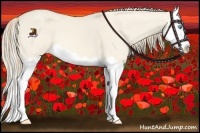 Horse Color:Perlino Dun Splash