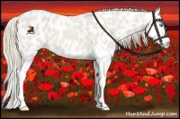 Horse Color:Smoky Creme Roan Splash Near Leopard