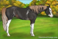 Horse Color:White Spotted Liver Chestnut Splash 