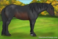Horse Color:Brown 