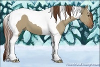 Horse Color:Red Dun Tobiano
