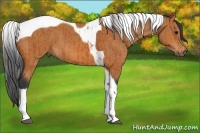 Horse Color:Bay Tobiano  and Bay Tobiano 