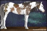 Horse Color:White Spotted Liver Chestnut Splash 