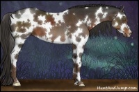 Horse Color:White Spotted Liver Chestnut Splash 