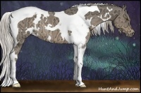 Horse Color:White Spotted Chocolate Palomino Ice Tobiano Rabicano