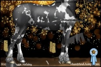 Horse Color:White Spotted Black